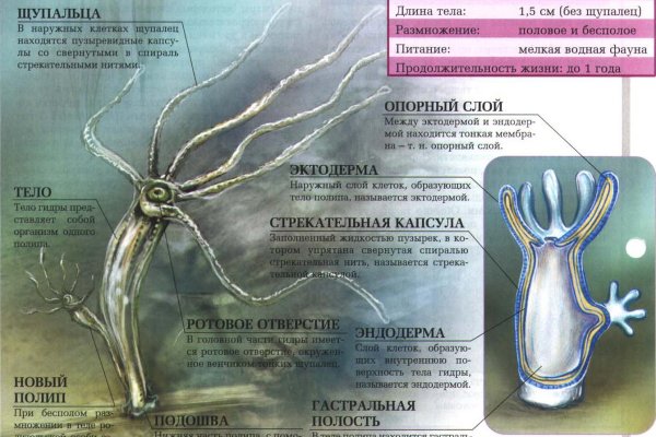 Ссылки на дарк нет