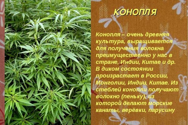 Кракен маркет darknet