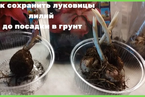 Гидра в даркнете