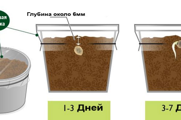 Кракен нарка шоп